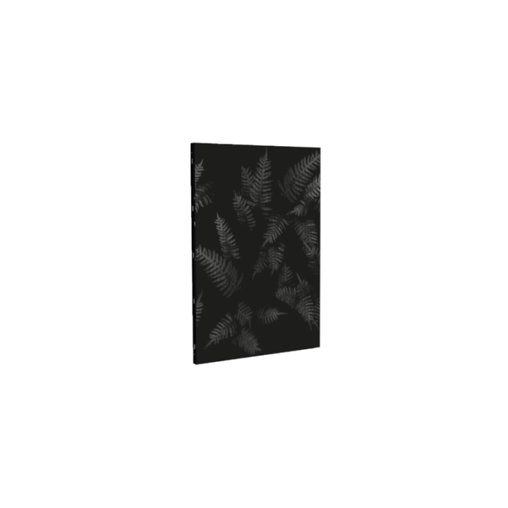 Protección contra incendios de pared para estufas de leña, pellets y granulados - Capska