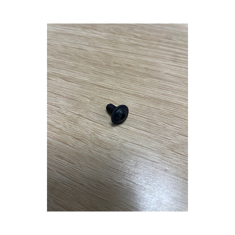 Tornillo Trl M5X10 Pozie Zn Negro para fijación de cristal Godin 00001305476